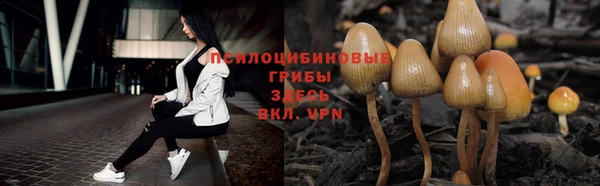 прущий лед Арсеньев