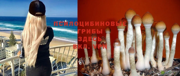 винт Аркадак